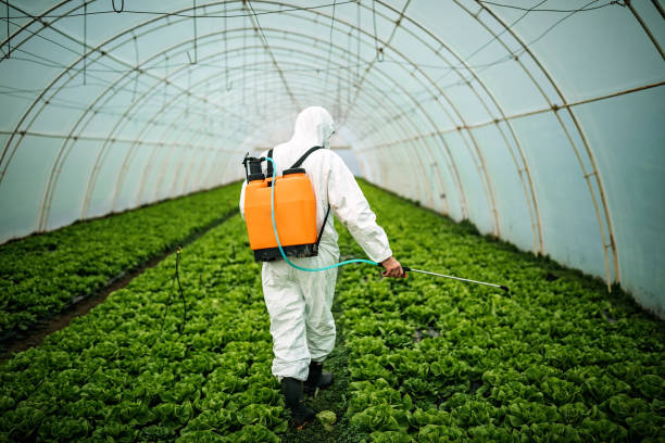 Best Mosquito Control Services  in Egypt, PA