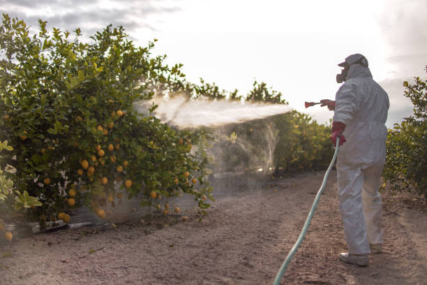 Best Residential Pest Control  in Egypt, PA